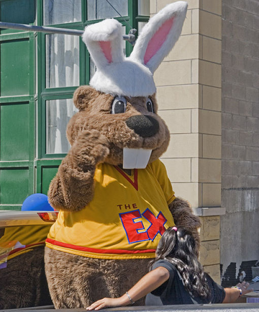 Funny Bunnies (69 pics)
