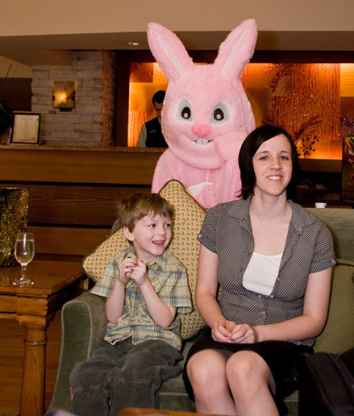 Funny Bunnies (69 pics)