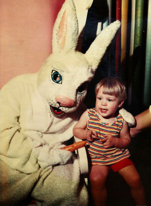 Funny Bunnies (69 pics)