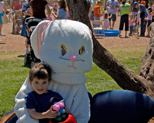 Funny Bunnies (69 pics)