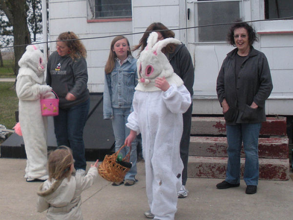 Funny Bunnies (69 pics)