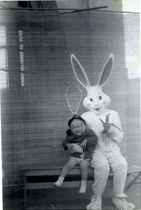 Funny Bunnies (69 pics)