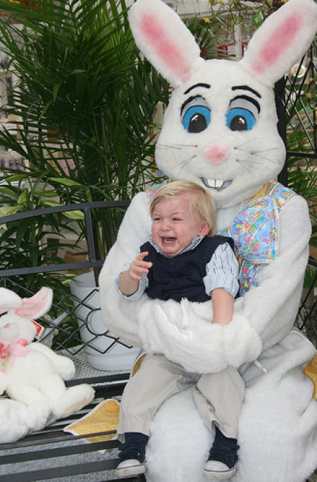Funny Bunnies (69 pics)