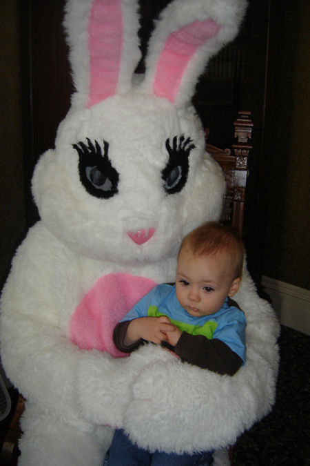 Funny Bunnies (69 pics)