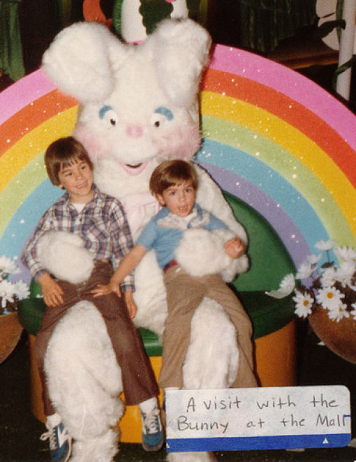 Funny Bunnies (69 pics)