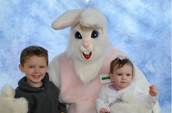 Funny Bunnies (69 pics)