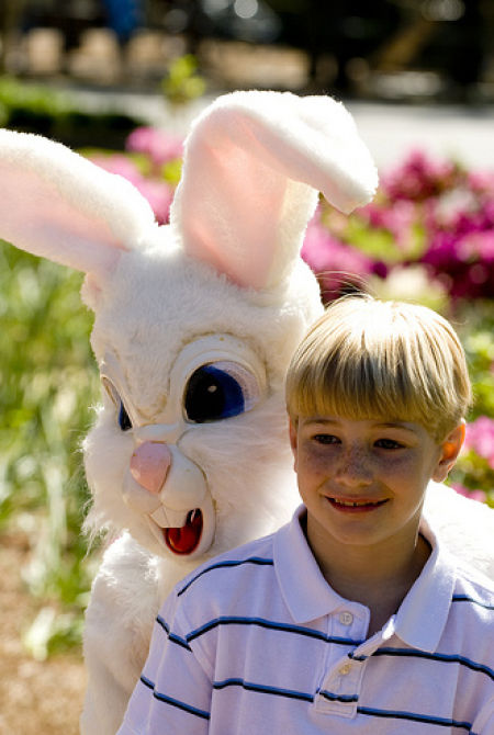 Funny Bunnies (69 pics)