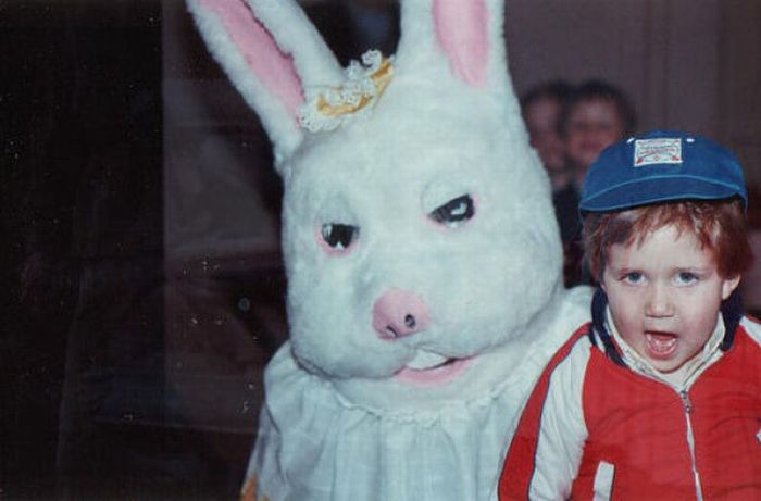 Funny Bunnies (69 pics)