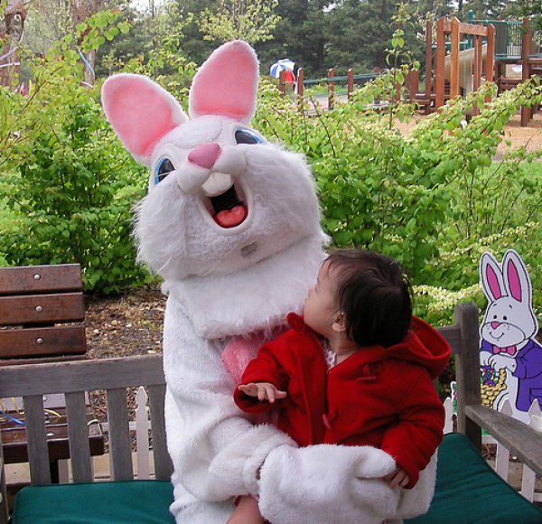Funny Bunnies (69 pics)