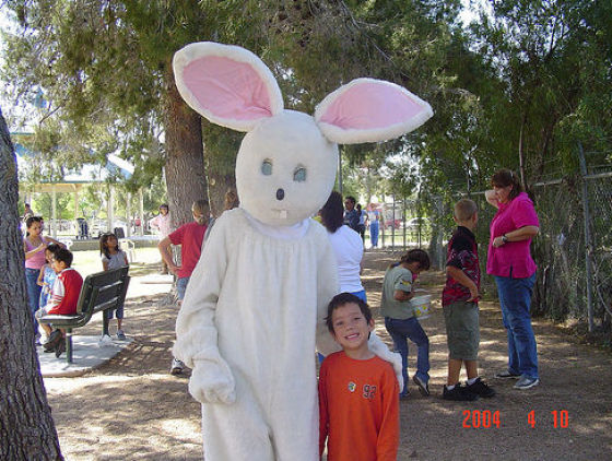 Funny Bunnies (69 pics)