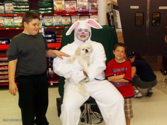 Funny Bunnies (69 pics)