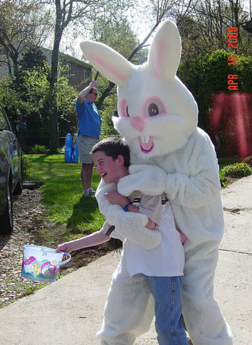 Funny Bunnies (69 pics)