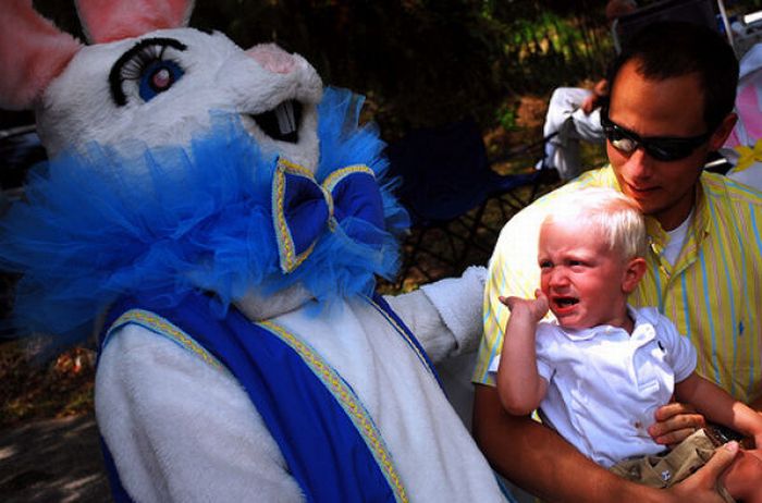 Funny Bunnies (69 pics)