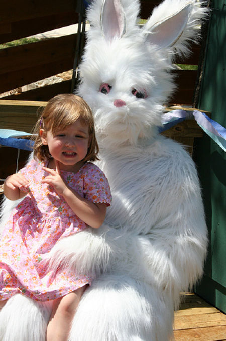Funny Bunnies (69 pics)