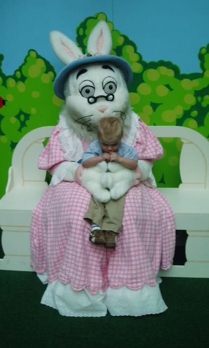 Funny Bunnies (69 pics)
