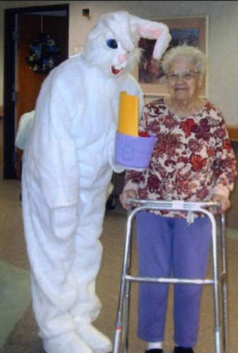 Funny Bunnies (69 pics)