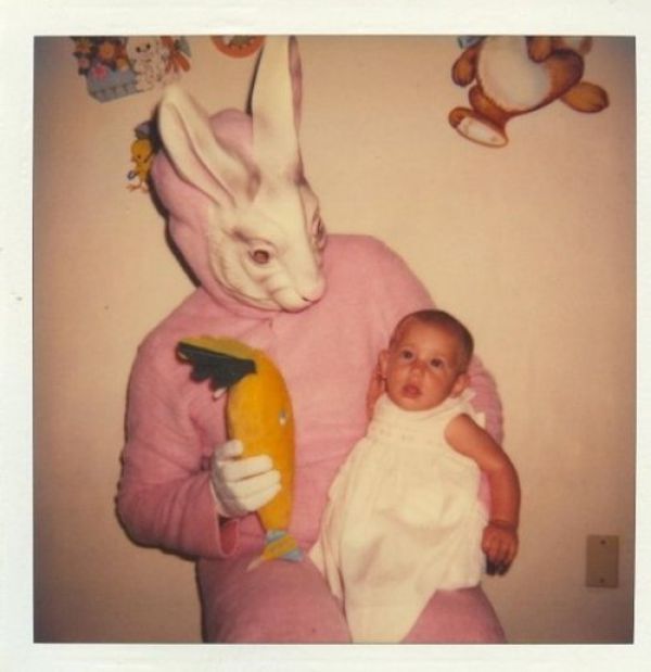 Funny Bunnies (69 pics)