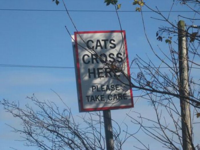 Funny Signs And Labels (21 pics)