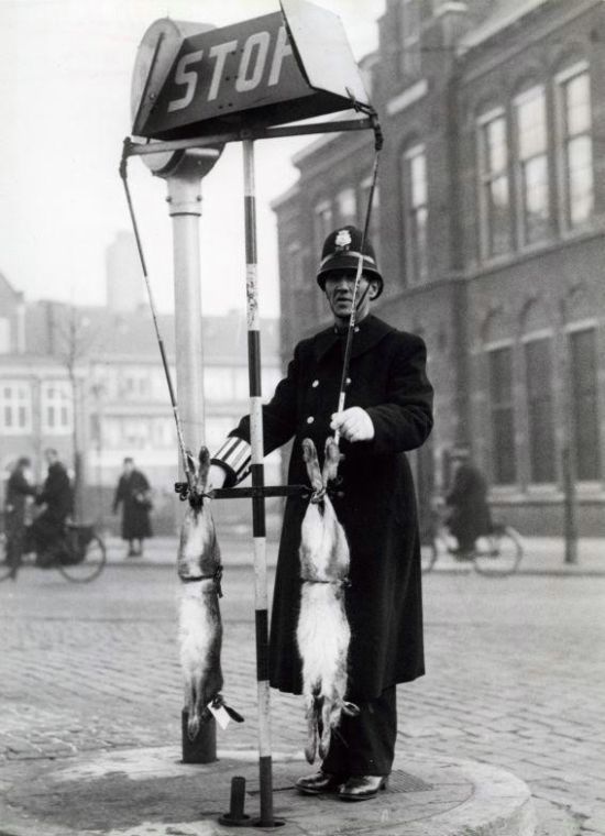 Old Photos of Netherlands (78 pics)