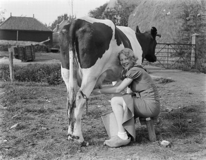 Old Photos of Netherlands (78 pics)