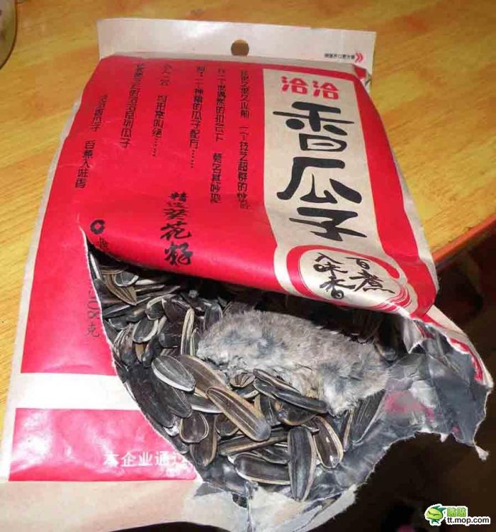 What Can Be Found Inside a Sunflower Seeds Pack in China (4 pics)