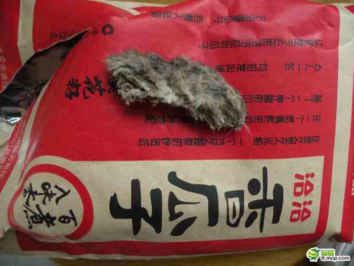 What Can Be Found Inside a Sunflower Seeds Pack in China (4 pics)