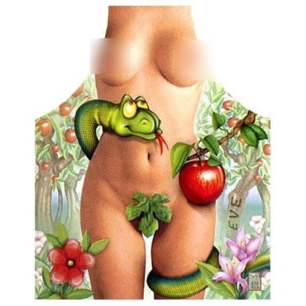 Unusual Aprons (20 pics)