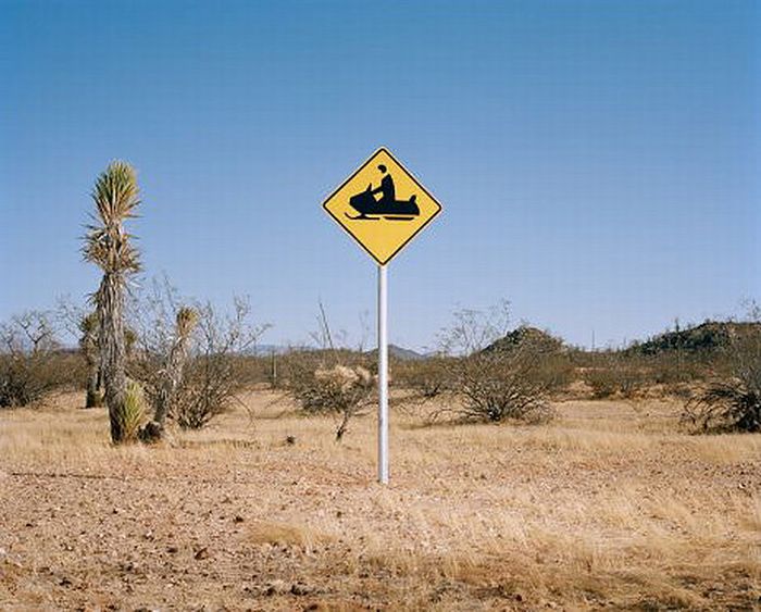 funny road signs and location