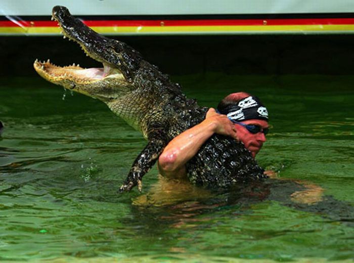 Playing with Crocodiles (15 pics)
