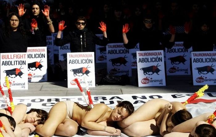 Naked People in Spain Protest Against Corrida (9 pics)
