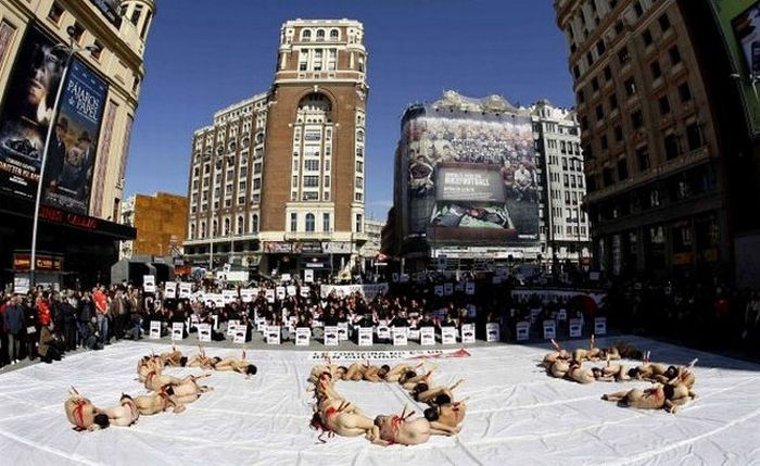 Naked People in Spain Protest Against Corrida (9 pics)