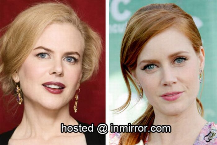Celebrities who Look Similar (80 pics)