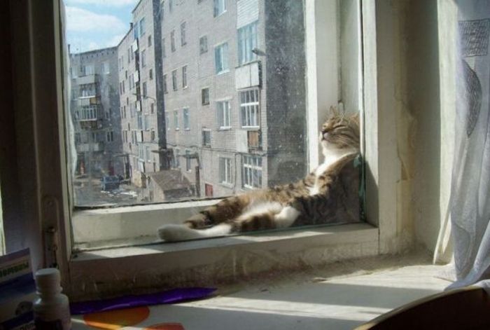 Acid Picdump (197 pics)