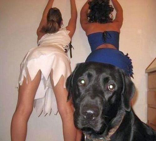 Acid Picdump (197 pics) Acid Picdump (197 pics)
