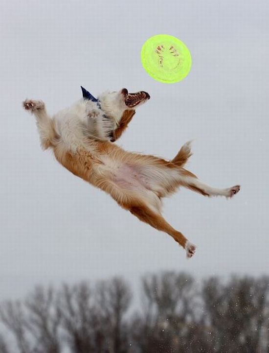 Acid Picdump (197 pics) Acid Picdump (197 pics)