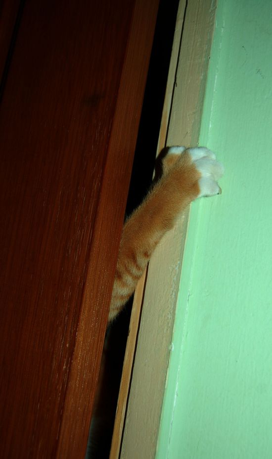 Acid Picdump (197 pics)