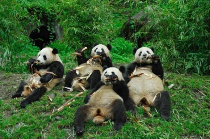 Acid Picdump (197 pics) Acid Picdump (197 pics)