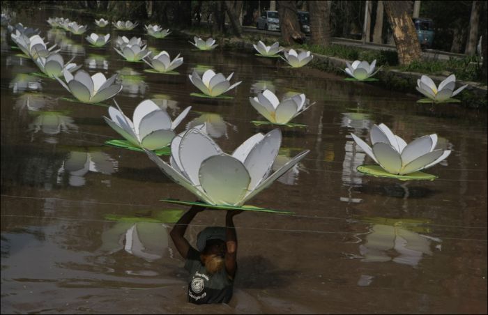 Acid Picdump (197 pics)