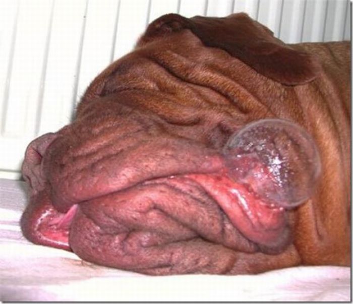 Acid Picdump (197 pics)