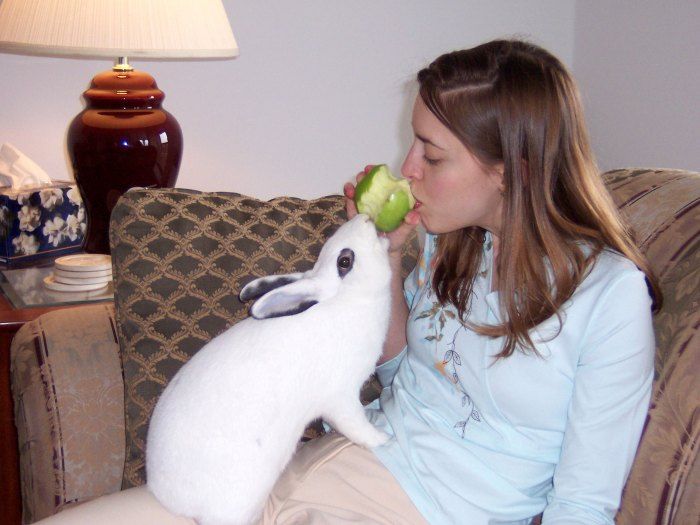 Acid Picdump (197 pics)