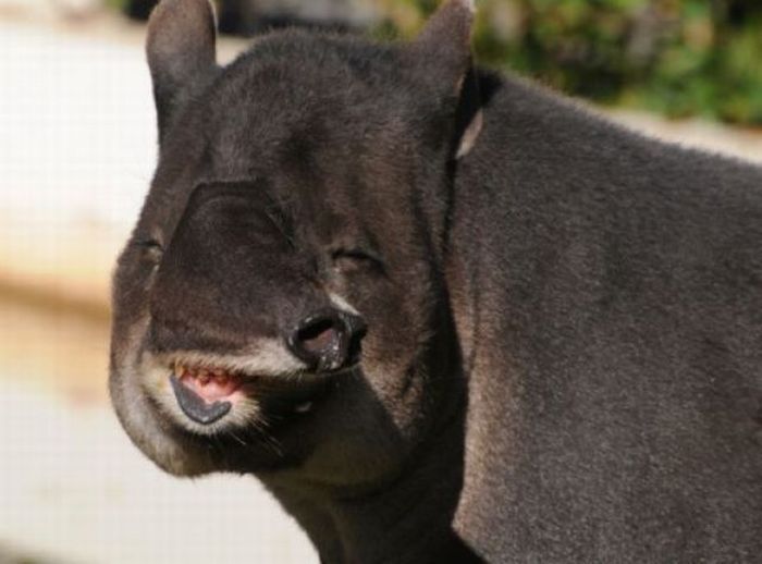 Acid Picdump (197 pics) Acid Picdump (197 pics)