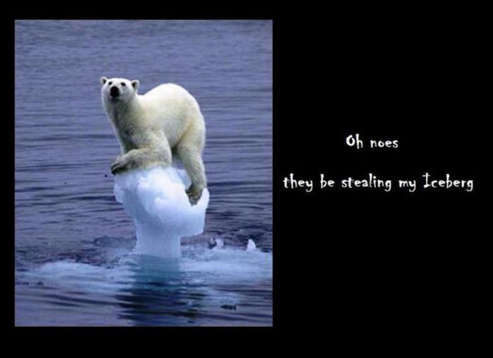 Global Warming Explained by a Polar Bear (4 pics)