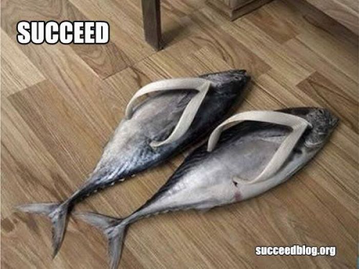 Succeed (100 pics)