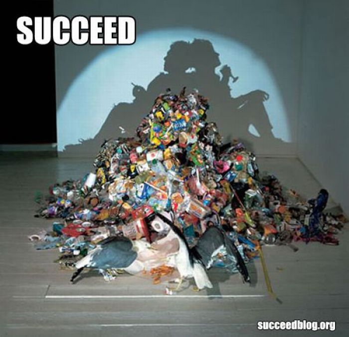 Succeed (100 pics)