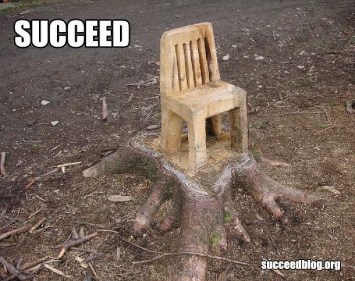 Succeed (100 pics)