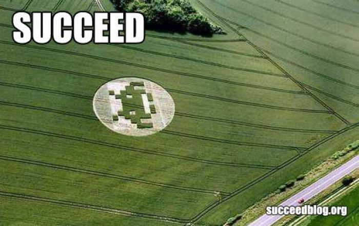 Succeed (100 pics)