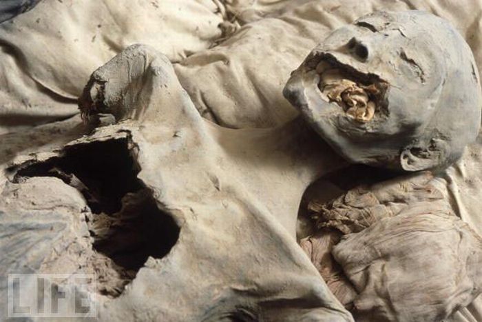 Amazing Mummies (23 pics)