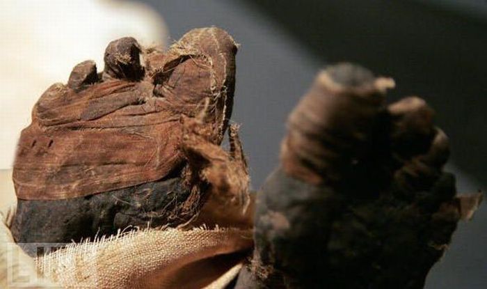 Amazing Mummies (23 pics)