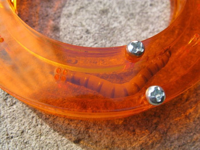 Bangle for Insects (34 pics)