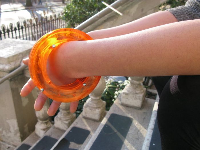 Bangle for Insects (34 pics)